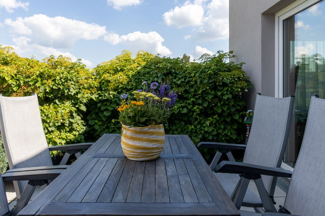 Tisch und Stühle auf dem begrünten Balkon der Praxis